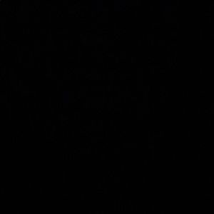 Meet your Posher, Alvin